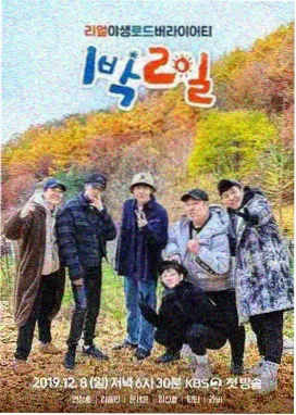 国家宝藏 成年人在线观看免费